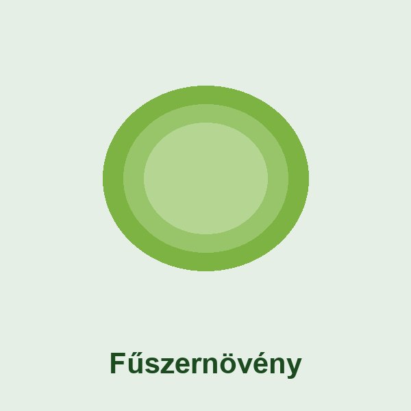 Fűszernövény