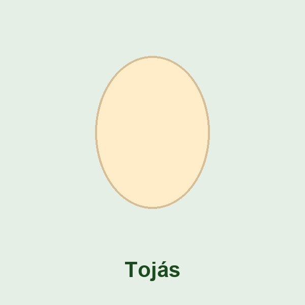 Tojás